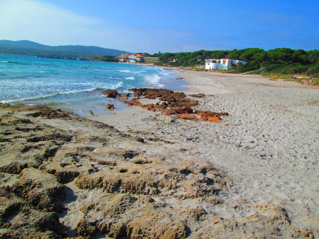 Appartamento Maraviglios Alghero Dış mekan fotoğraf